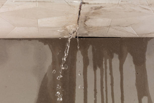 Professional Water Damage Repair technician working in Ashland, PA